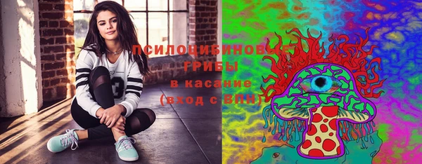 крисы Абдулино