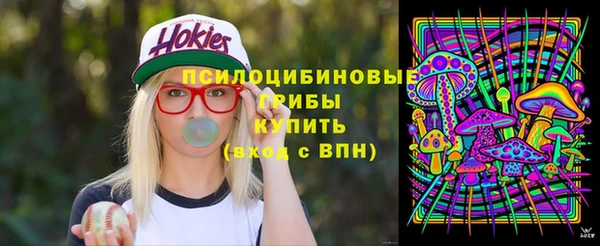 крисы Абдулино